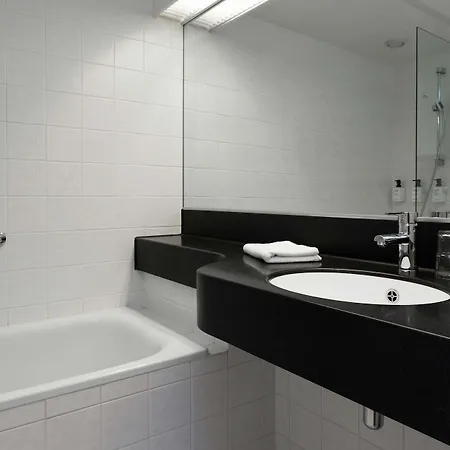 ホテル スカンディック 4*