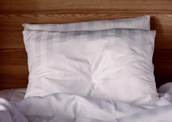 希尔科内斯斯堪迪克酒店 4* 希尔科内斯